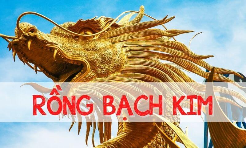 Rồng bạch kim Rs8